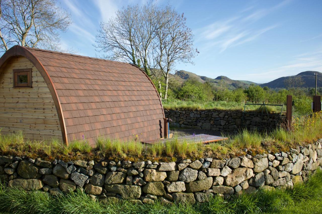 Bluebell Lane Glamping Hotel Newry Esterno foto