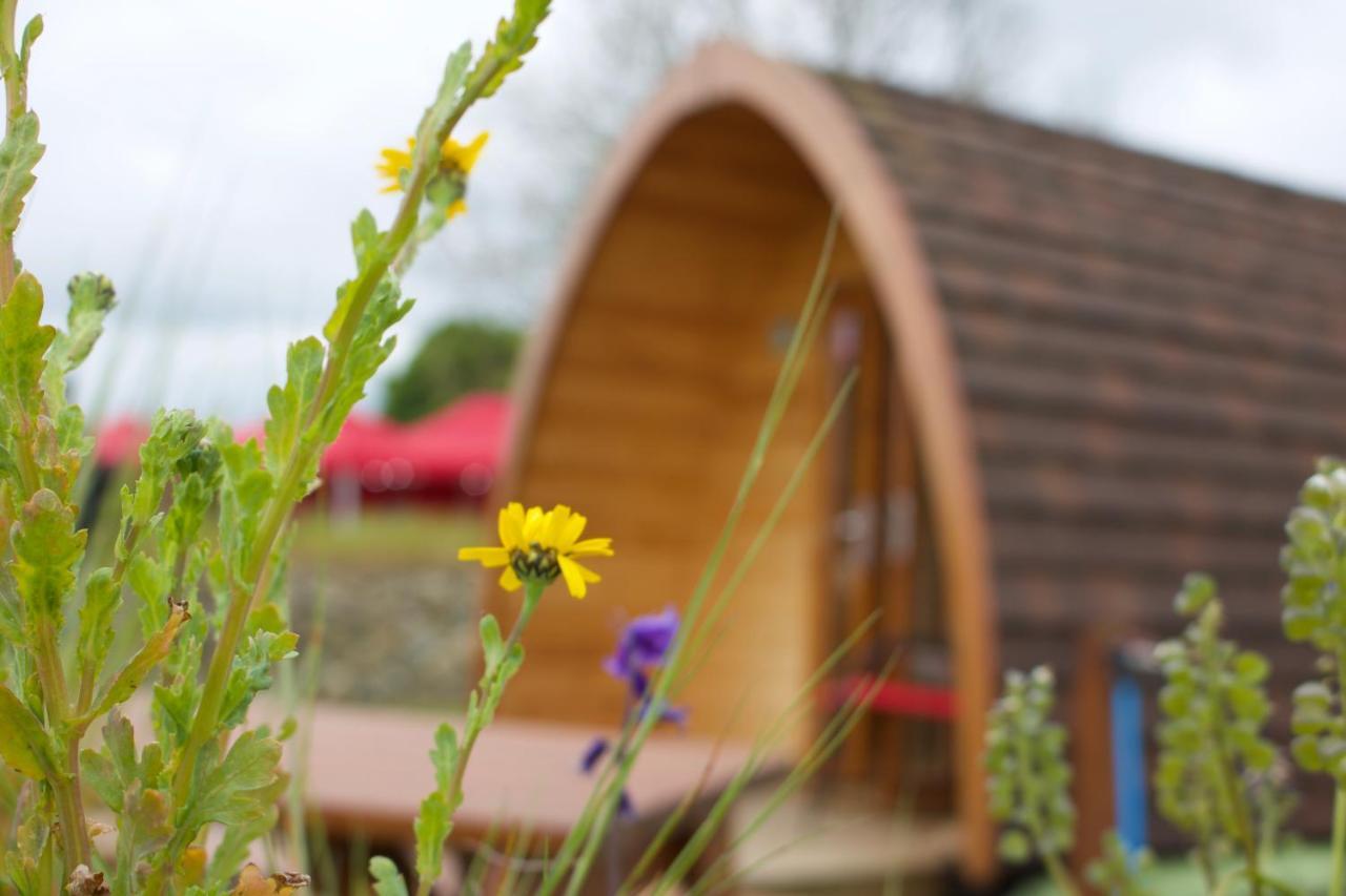Bluebell Lane Glamping Hotel Newry Esterno foto