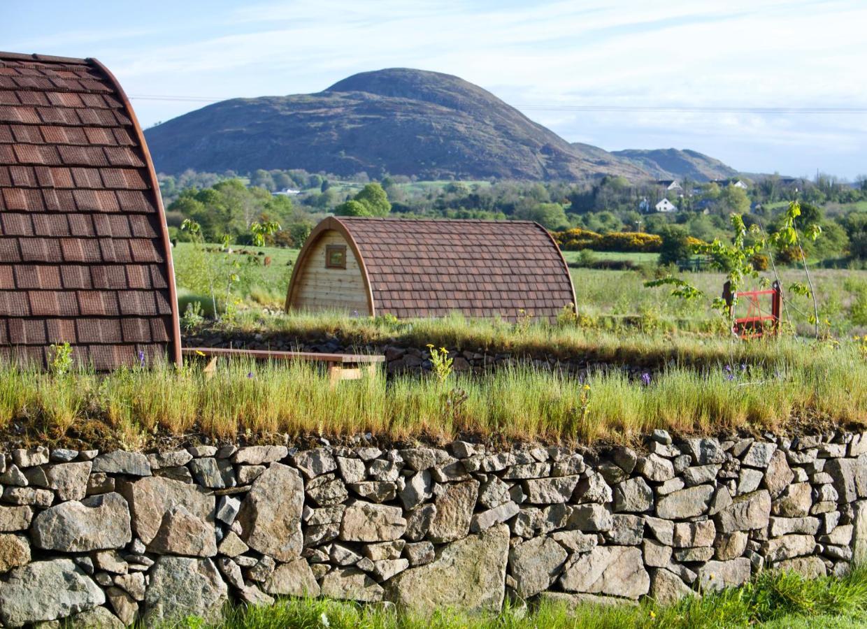 Bluebell Lane Glamping Hotel Newry Esterno foto